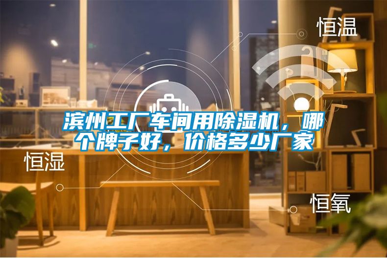 濱州工廠車間用除濕機，哪個牌子好，價格多少廠家