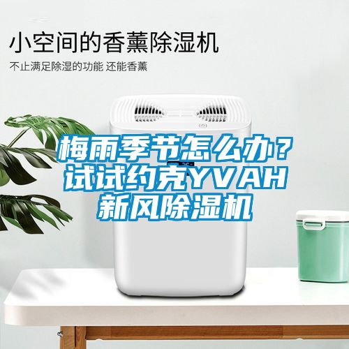 梅雨季節(jié)怎么辦？試試約克YVAH新風除濕機