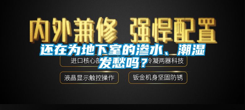 還在為地下室的滲水、潮濕發(fā)愁嗎？