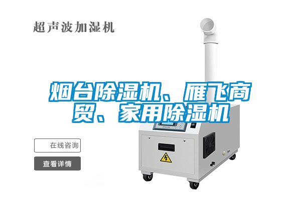 煙臺除濕機、雁飛商貿(mào)、家用除濕機