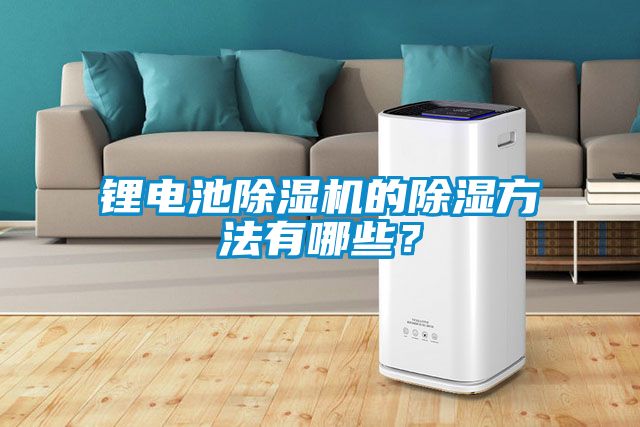 鋰電池除濕機的除濕方法有哪些？