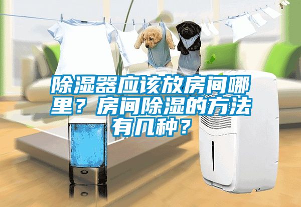 除濕器應(yīng)該放房間哪里？房間除濕的方法有幾種？