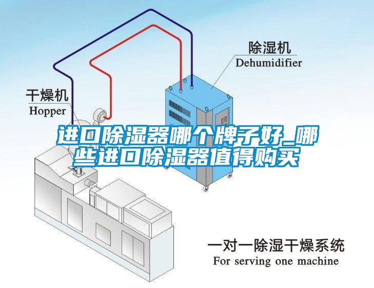 進(jìn)口除濕器哪個(gè)牌子好_哪些進(jìn)口除濕器值得購(gòu)買(mǎi)