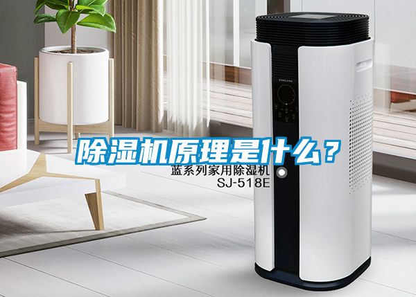 除濕機(jī)原理是什么？