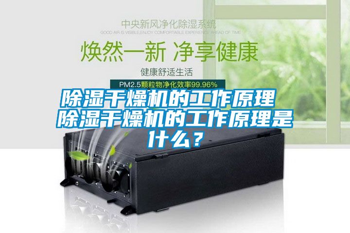 除濕干燥機(jī)的工作原理 除濕干燥機(jī)的工作原理是什么？