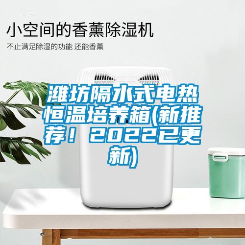 濰坊隔水式電熱恒溫培養(yǎng)箱(新推薦！2022已更新)