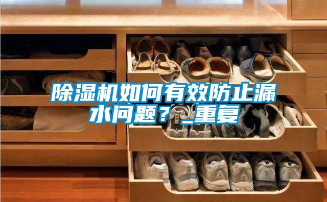 除濕機(jī)如何有效防止漏水問題？_重復(fù)