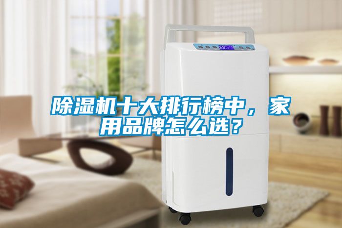 除濕機十大排行榜中，家用品牌怎么選？