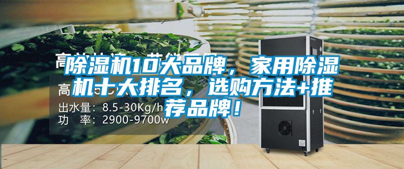 除濕機10大品牌，家用除濕機十大排名，選購方法+推薦品牌！