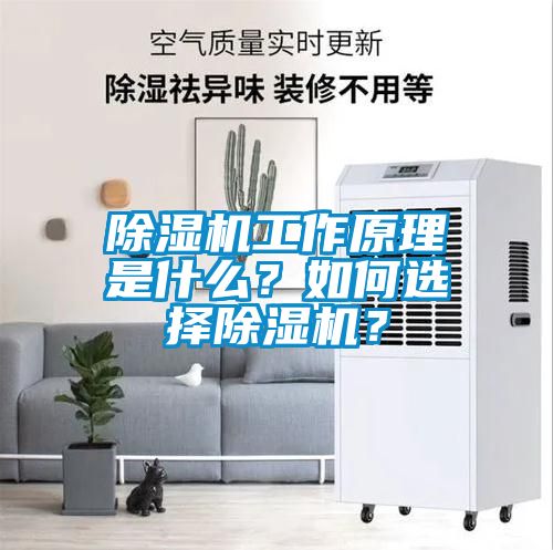 除濕機工作原理是什么？如何選擇除濕機？