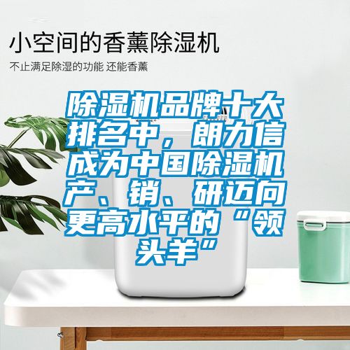 除濕機(jī)品牌十大排名中，朗力信成為中國(guó)除濕機(jī)產(chǎn)、銷(xiāo)、研邁向更高水平的“領(lǐng)頭羊”