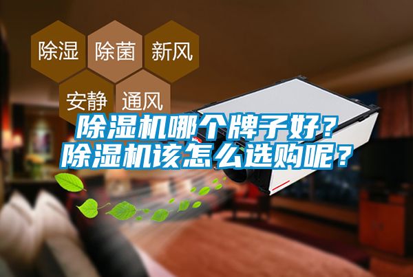 除濕機哪個牌子好？除濕機該怎么選購呢？