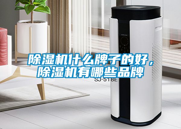 除濕機什么牌子的好，除濕機有哪些品牌