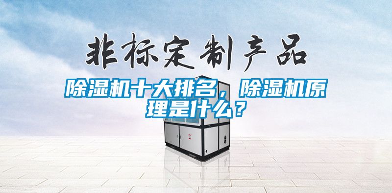 除濕機十大排名，除濕機原理是什么？