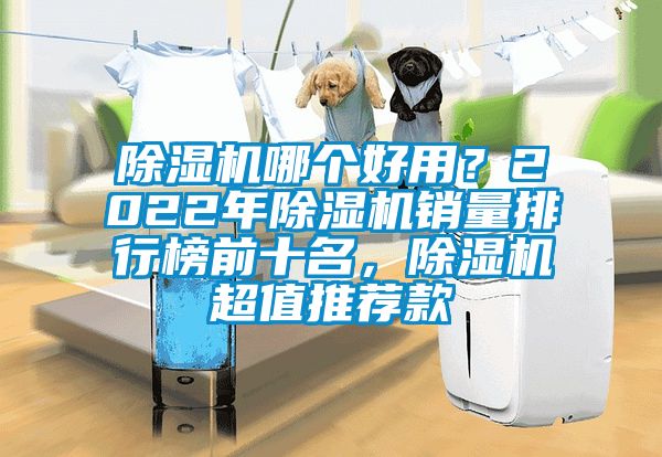 除濕機哪個好用？2022年除濕機銷量排行榜前十名，除濕機超值推薦款