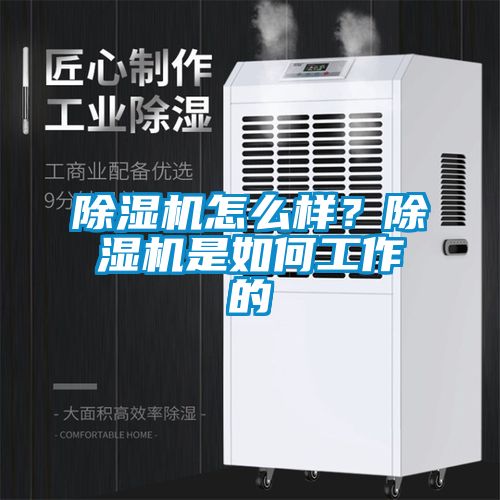 除濕機(jī)怎么樣？除濕機(jī)是如何工作的