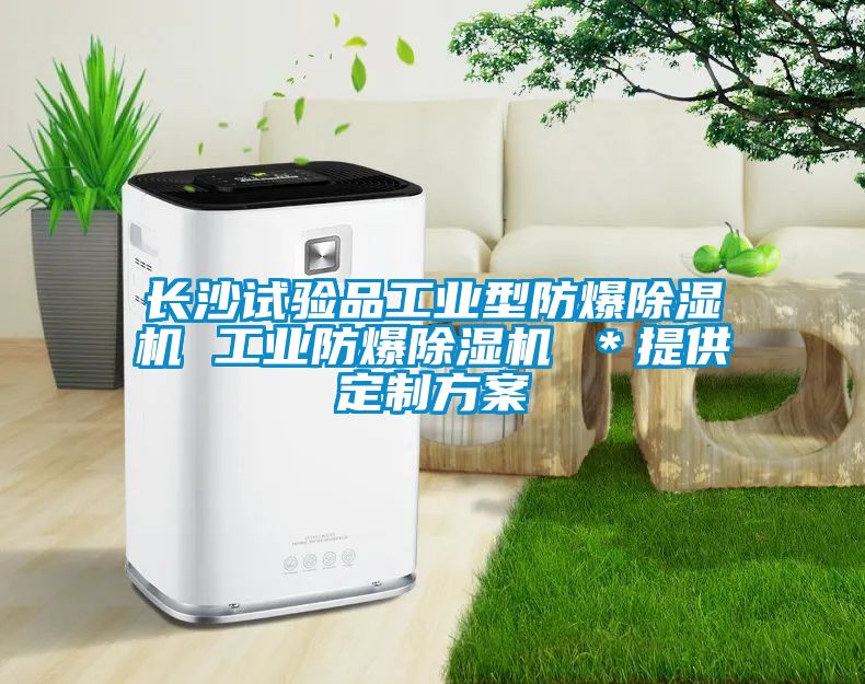 長(zhǎng)沙試驗(yàn)品工業(yè)型防爆除濕機(jī) 工業(yè)防爆除濕機(jī) ＊提供定制方案