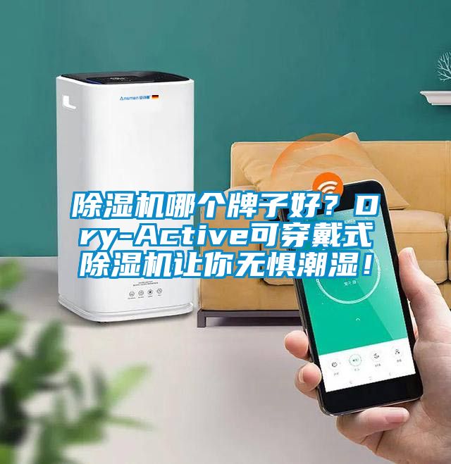 除濕機哪個牌子好？Dry-Active可穿戴式除濕機讓你無懼潮濕！