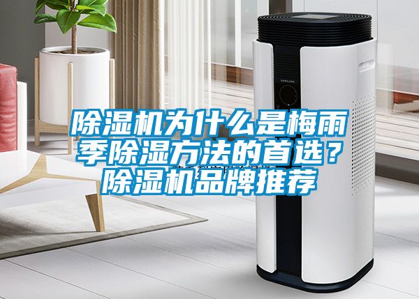 除濕機(jī)為什么是梅雨季除濕方法的首選？除濕機(jī)品牌推薦