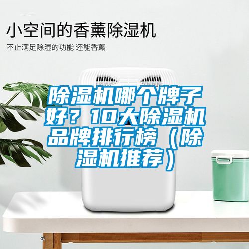 除濕機哪個牌子好？10大除濕機品牌排行榜（除濕機推薦）