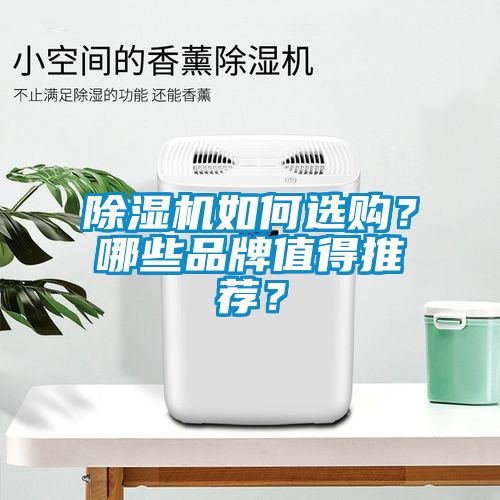 除濕機如何選購？哪些品牌值得推薦？