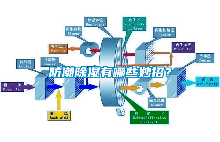 防潮除濕有哪些妙招？