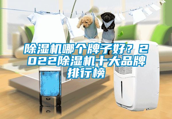 除濕機(jī)哪個牌子好？2022除濕機(jī)十大品牌排行榜