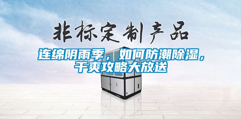 連綿陰雨季，如何防潮除濕，干爽攻略大放送