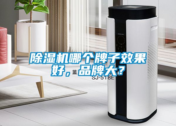 除濕機哪個牌子效果好，品牌大？