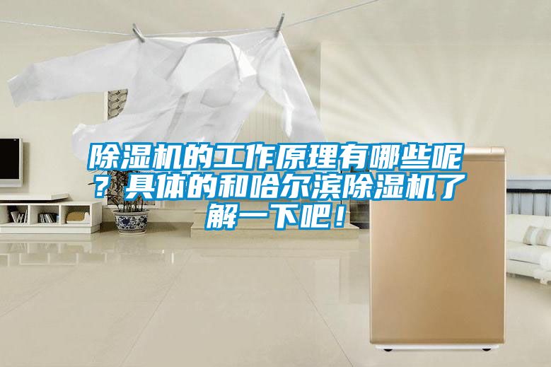 除濕機的工作原理有哪些呢？具體的和哈爾濱除濕機了解一下吧！