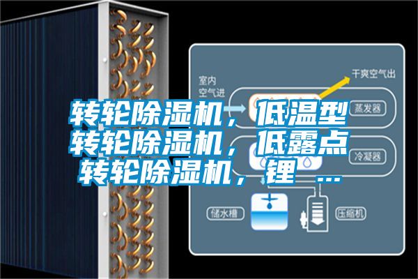 轉(zhuǎn)輪除濕機，低溫型轉(zhuǎn)輪除濕機，低露點轉(zhuǎn)輪除濕機，鋰 ...