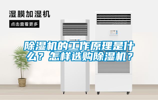 除濕機的工作原理是什么？怎樣選購除濕機？