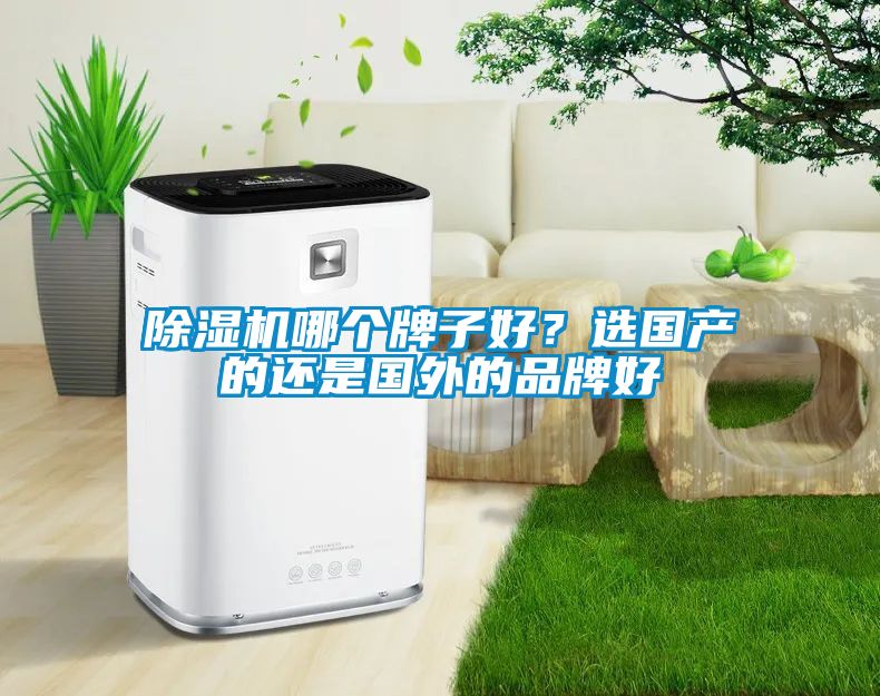 除濕機哪個牌子好？選國產的還是國外的品牌好