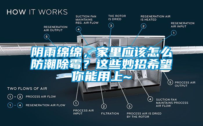 陰雨綿綿，家里應該怎么防潮除霉？這些妙招希望你能用上~