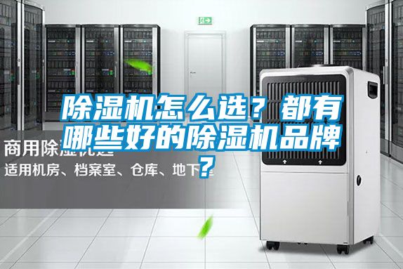 除濕機怎么選？都有哪些好的除濕機品牌？