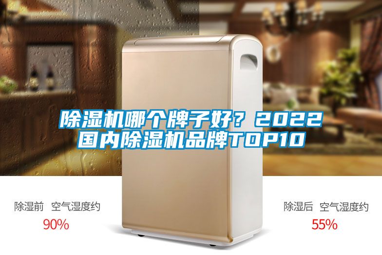 除濕機哪個牌子好？2022國內除濕機品牌TOP10