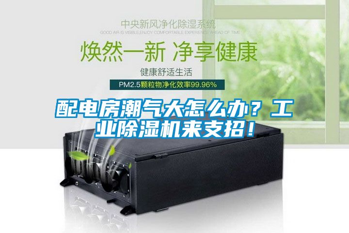 配電房潮氣大怎么辦？工業(yè)除濕機(jī)來支招！