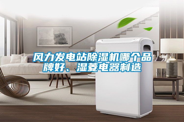 風(fēng)力發(fā)電站除濕機(jī)哪個品牌好、濕菱電器制造