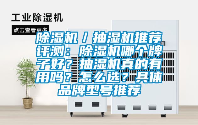 除濕機／抽濕機推薦評測：除濕機哪個牌子好？抽濕機真的有用嗎？怎么選？具體品牌型號推薦