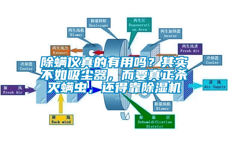 除螨儀真的有用嗎？其實(shí)不如吸塵器，而要真正殺滅螨蟲(chóng)，還得靠除濕機(jī)